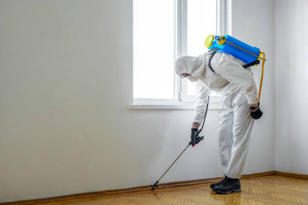 Best Residential Pest Control  in Hot Springs Village, AR